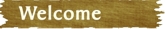 Welcome