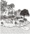 Tropical Crops